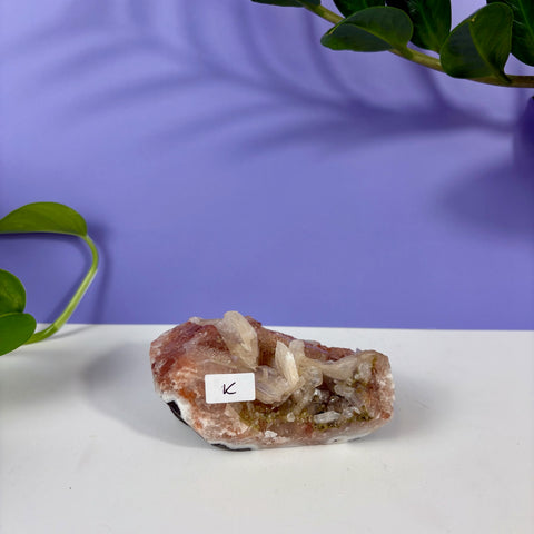 Red Snapper Chalcedony