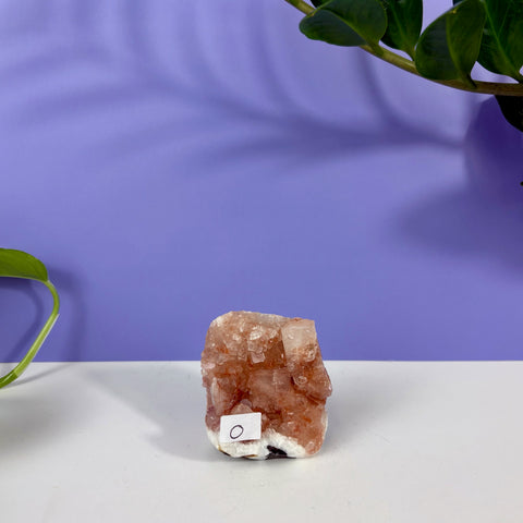 Red Snapper Chalcedony