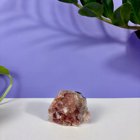Red Snapper Chalcedony