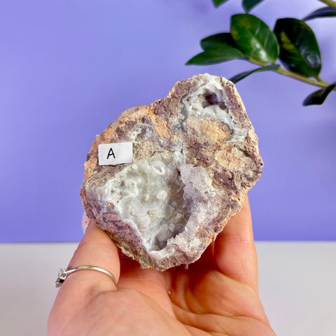 Revense Geode