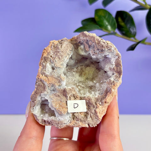 Revense Geode