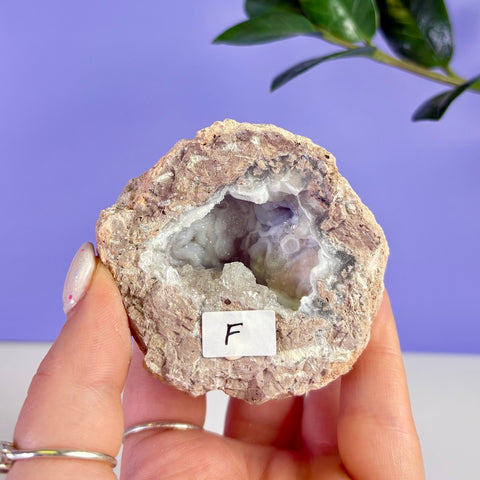 Revense Geode