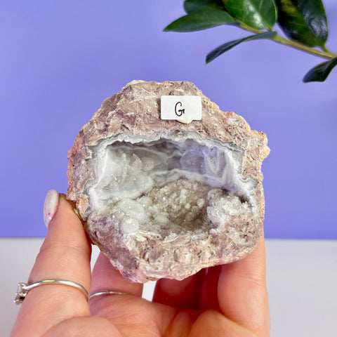 Revense Geode