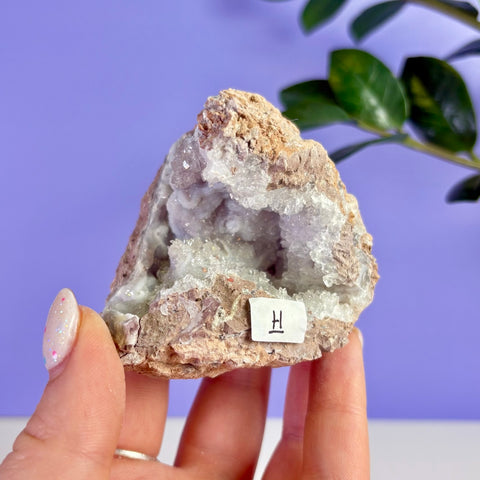 Revense Geode