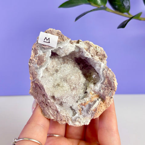 Revense Geode