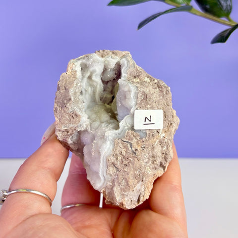 Revense Geode