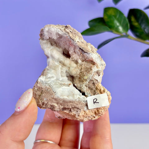 Revense Geode