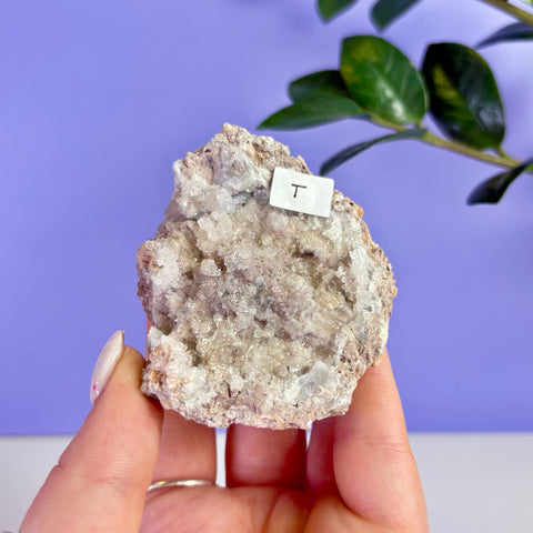 Revense Geode
