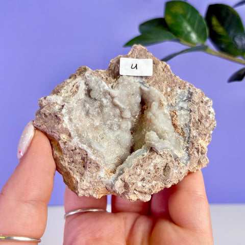 Revense Geode