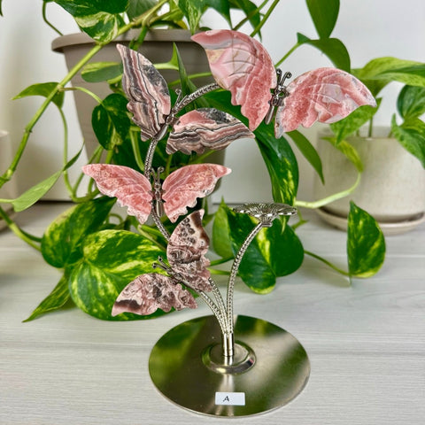Rhodochrosite Butterfly Flock A 1 - Kenna's Crystals from TikTok