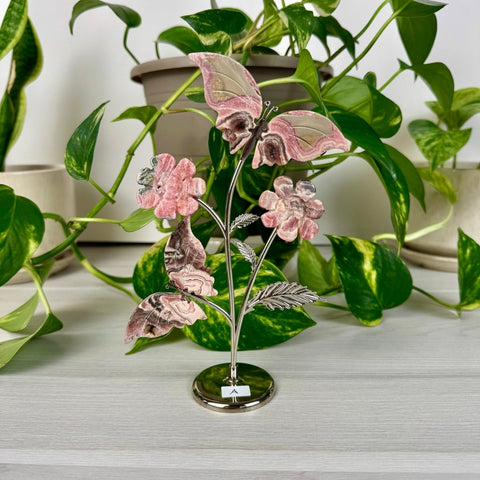 Rhodochrosite Butterfly Garden A 1 - Kenna's Crystals from TikTok