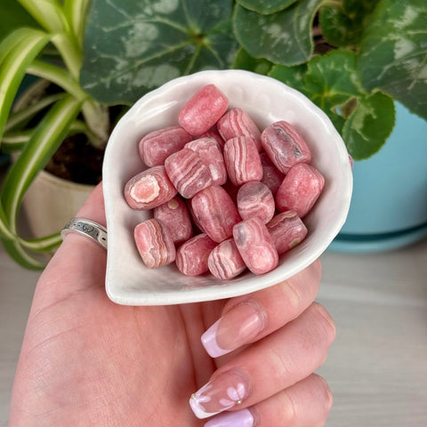 Rhodochrosite Forbidden Jelly Bean 33 5 - Kenna's Crystals from TikTok