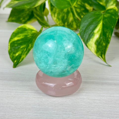 Rose Quartz Donut 99 2 - Kenna's Crystals from TikTok