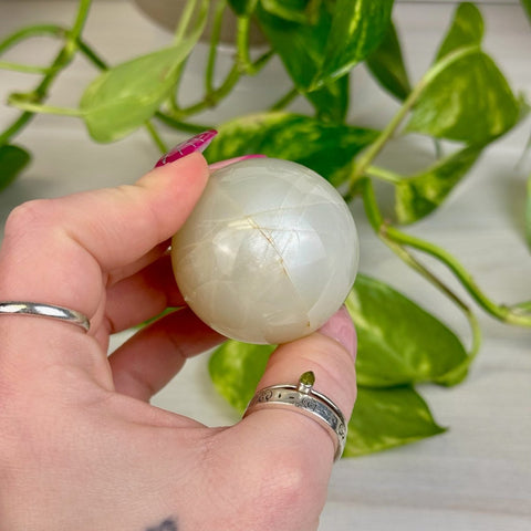 Sage Moonstone Sphere 99 9 - Kenna's Crystals from TikTok