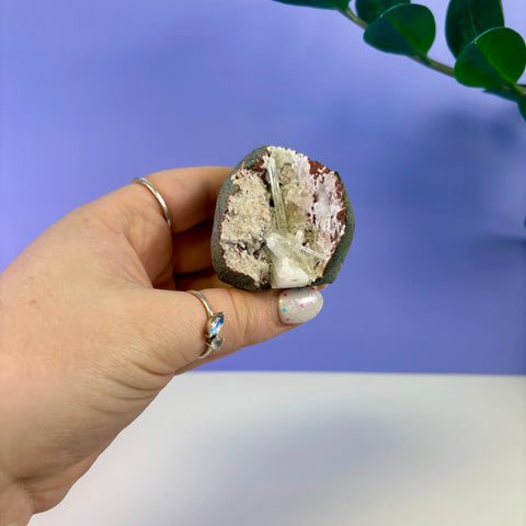 Scolecite Geode Specimen