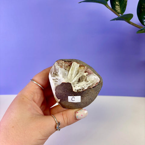 Scolecite Geode Specimen