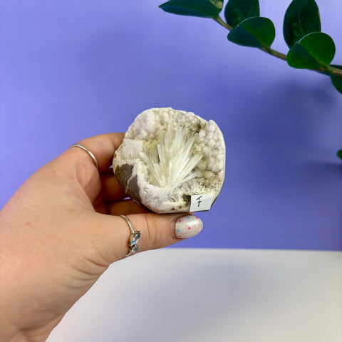 Scolecite Geode Specimen