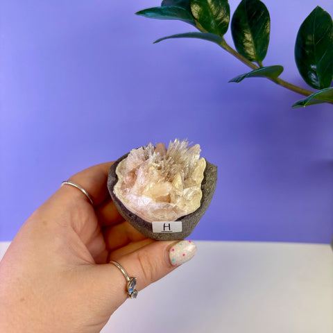 Scolecite Geode Specimen
