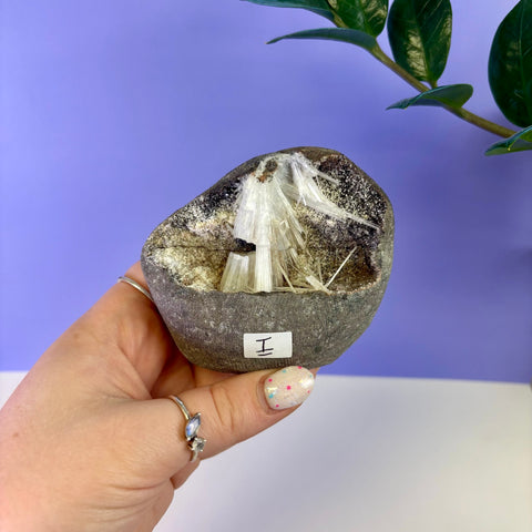 Scolecite Geode Specimen