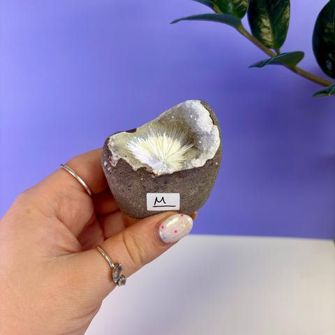 Scolecite Geode Specimen
