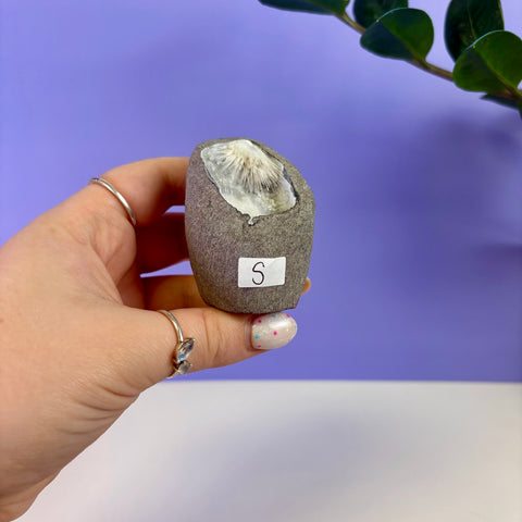 Scolecite Geode Specimen