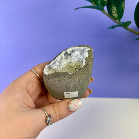 Scolecite Geode Specimen