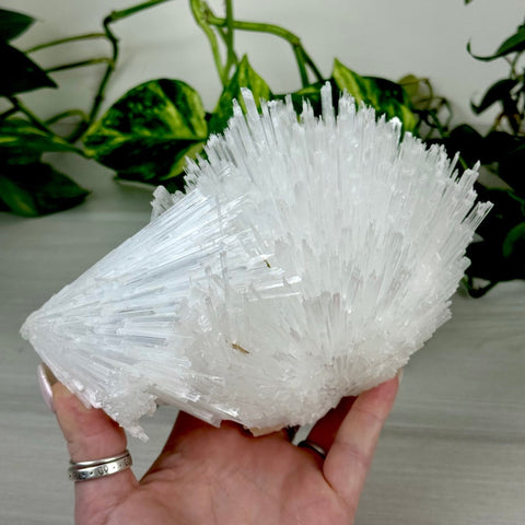 Scolecite Spray Specimen A 1 - Kenna's Crystals from TikTok