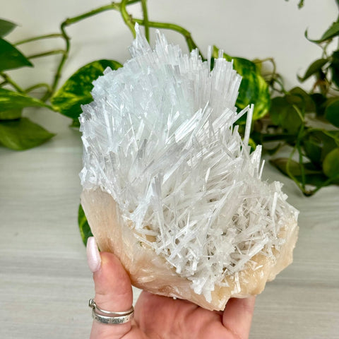 Scolecite Spray Specimen B 2 - Kenna's Crystals from TikTok