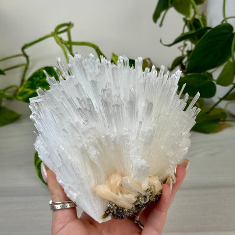 Scolecite Spray Specimen C 3 - Kenna's Crystals from TikTok