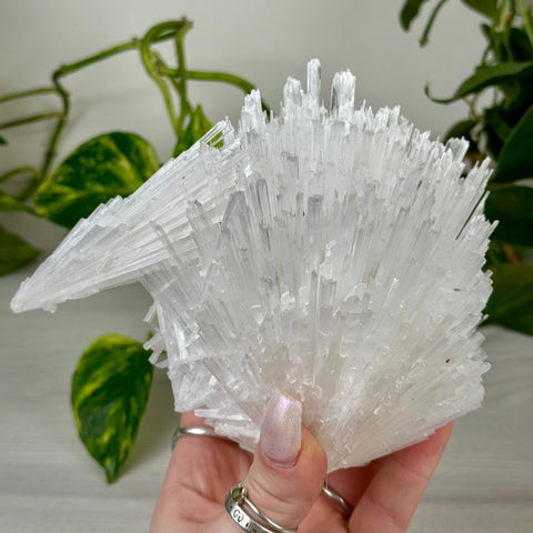 Scolecite Spray Specimen D 4 - Kenna's Crystals from TikTok