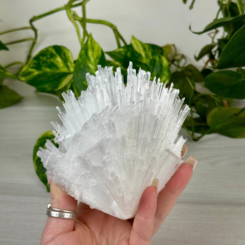 Scolecite Spray Specimen E 5 - Kenna's Crystals from TikTok