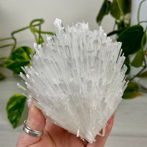 Scolecite Spray Specimen F 6 - Kenna's Crystals from TikTok