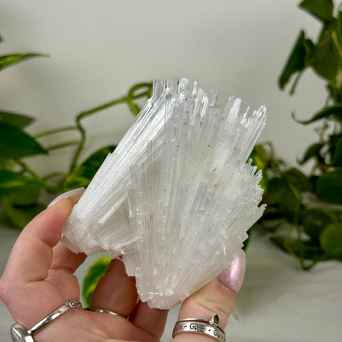 Scolecite Spray Specimen G 7 - Kenna's Crystals from TikTok