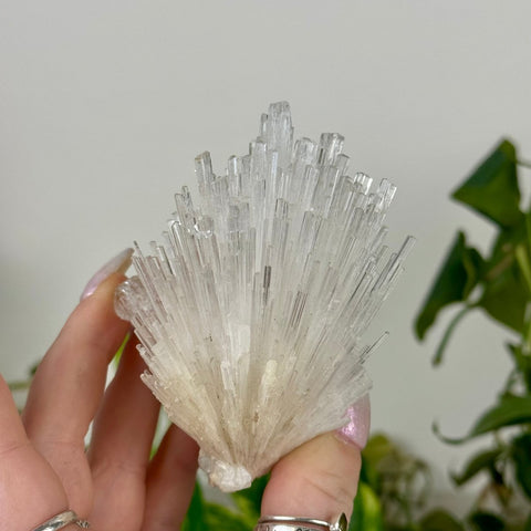 Scolecite Spray Specimen G 8 - Kenna's Crystals from TikTok