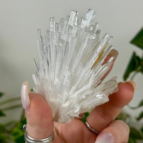 Scolecite Spray Specimen H 9 - Kenna's Crystals from TikTok