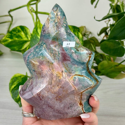 Sea Jasper Flame H 8 - Kenna's Crystals from TikTok