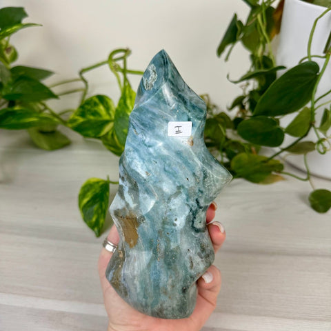 Sea Jasper Flame I 9 - Kenna's Crystals from TikTok