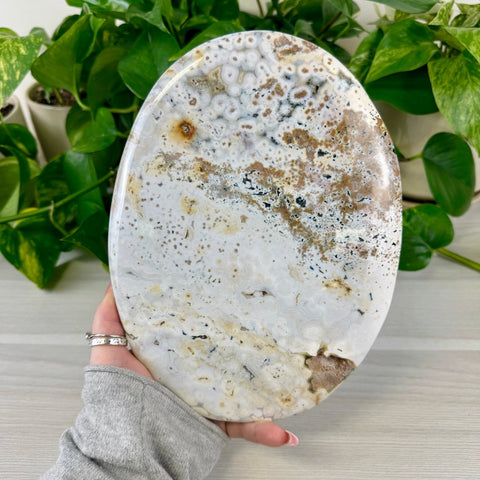 Sea Jasper Flat Stone 1 - Kenna's Crystals from TikTok