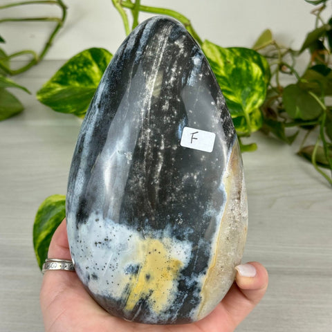 Sea Jasper Free Form F 6 - Kenna's Crystals from TikTok