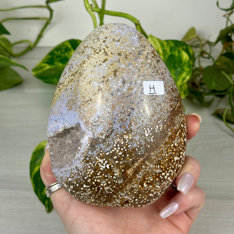 Sea Jasper Free Form H 8 - Kenna's Crystals from TikTok