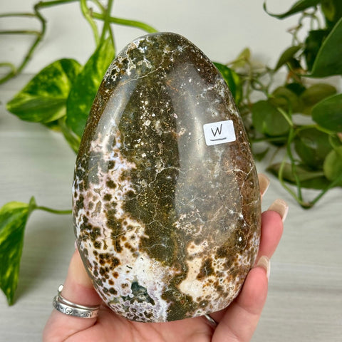 Sea Jasper Free Form W 23 - Kenna's Crystals from TikTok