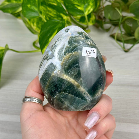 Sea Jasper Free Form W2 49 - Kenna's Crystals from TikTok