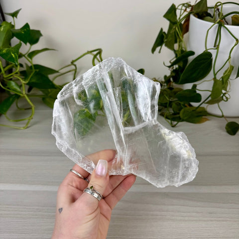 Selenite Slab 66 6 - Kenna's Crystals from TikTok