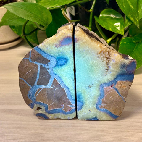 Septarian Bookends 3 - Kenna's Crystals from TikTok