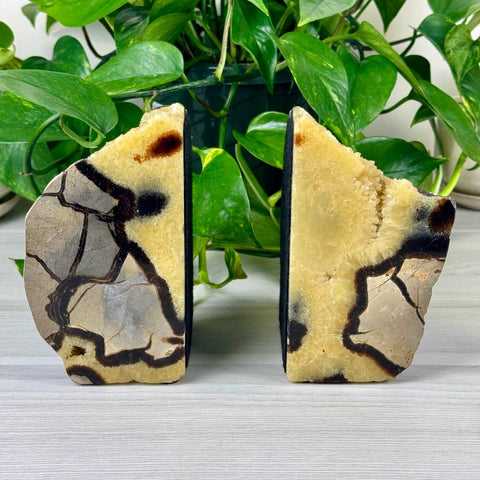 Septarian Bookends 2 - Kenna's Crystals from TikTok