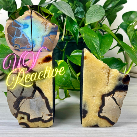 Septarian Bookends 1 - Kenna's Crystals from TikTok