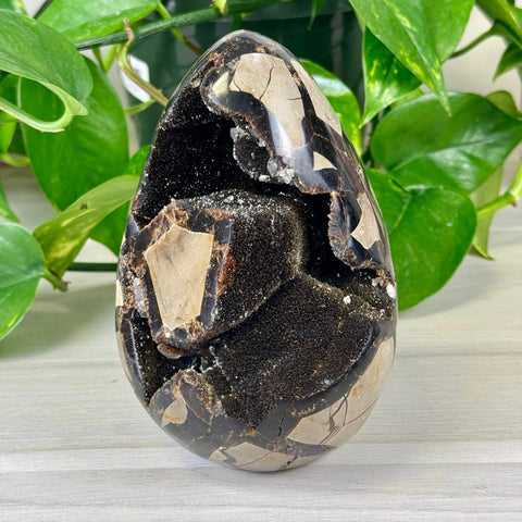 Septarian Free Form 155 2 - Kenna's Crystals from TikTok