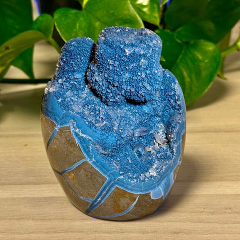 Septarian Free Form 77 5 - Kenna's Crystals from TikTok