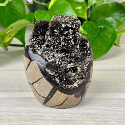 Septarian Free Form 77 4 - Kenna's Crystals from TikTok