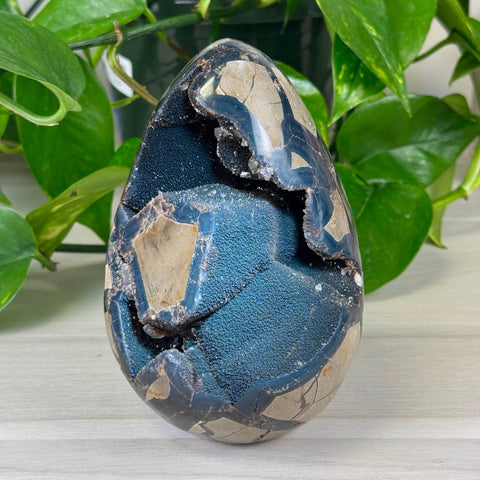 Septarian Free Form 77 7 - Kenna's Crystals from TikTok